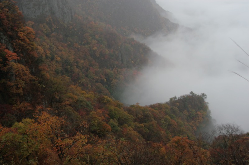 奥久慈・男体山