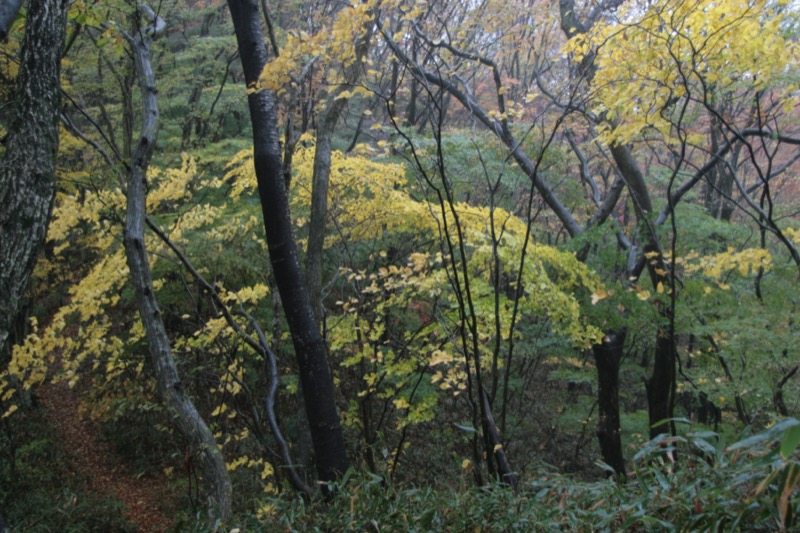 奥久慈・男体山