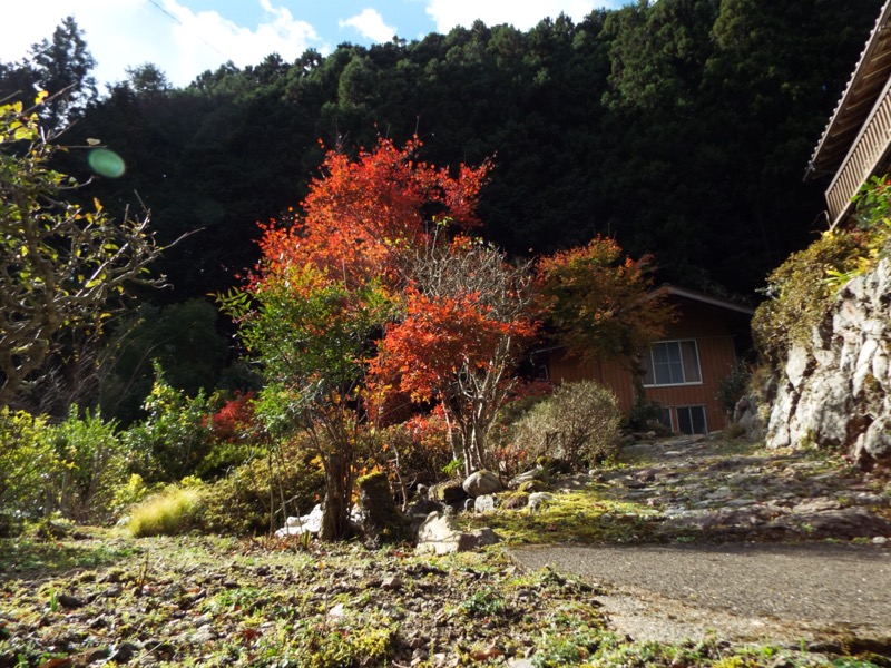 伊豆ヶ岳