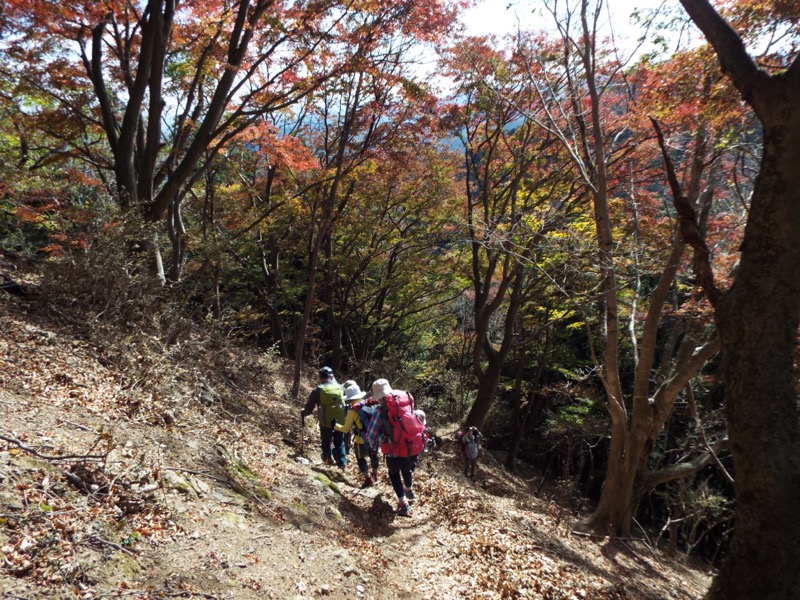 伊豆ヶ岳