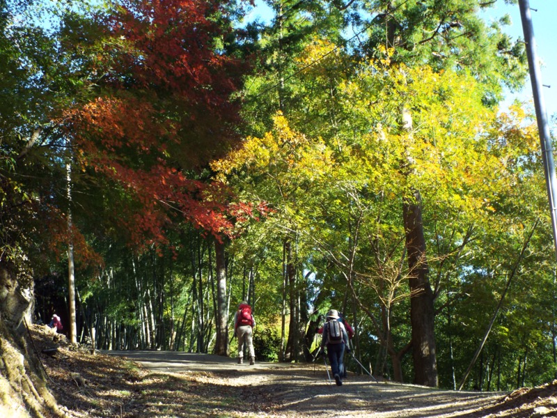 伊豆ヶ岳