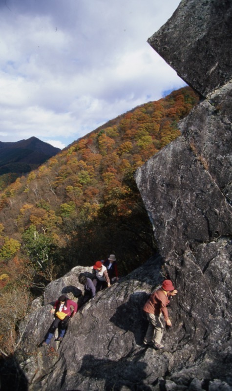 太刀岡山