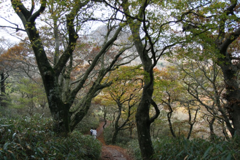 筑波山