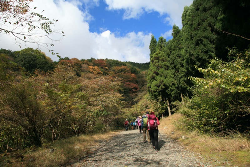 鍋割山