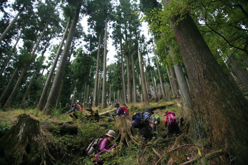 鍋割山