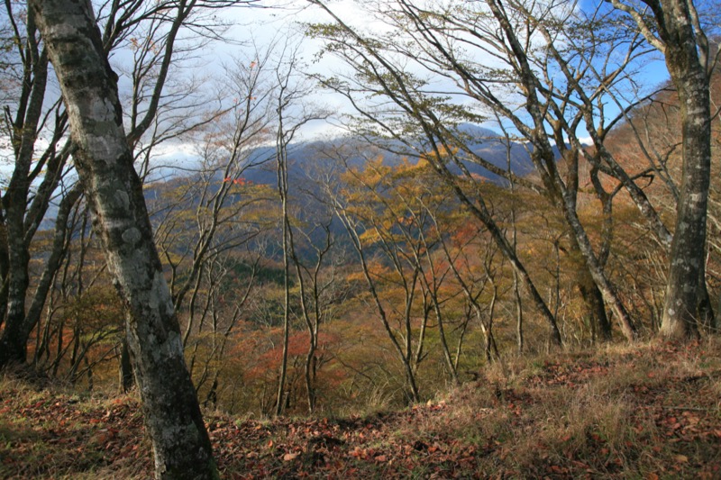 鍋割山