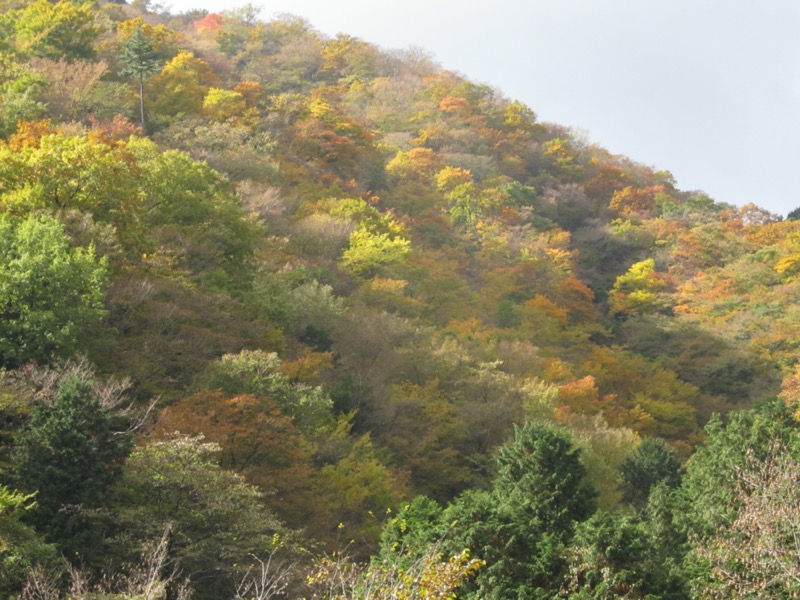 鍋割山