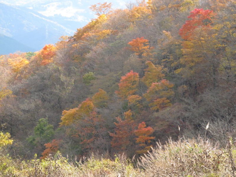 鍋割山