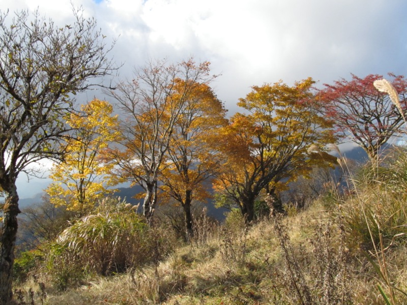 鍋割山