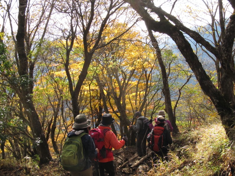 鍋割山