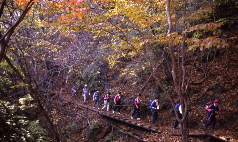 大岳山