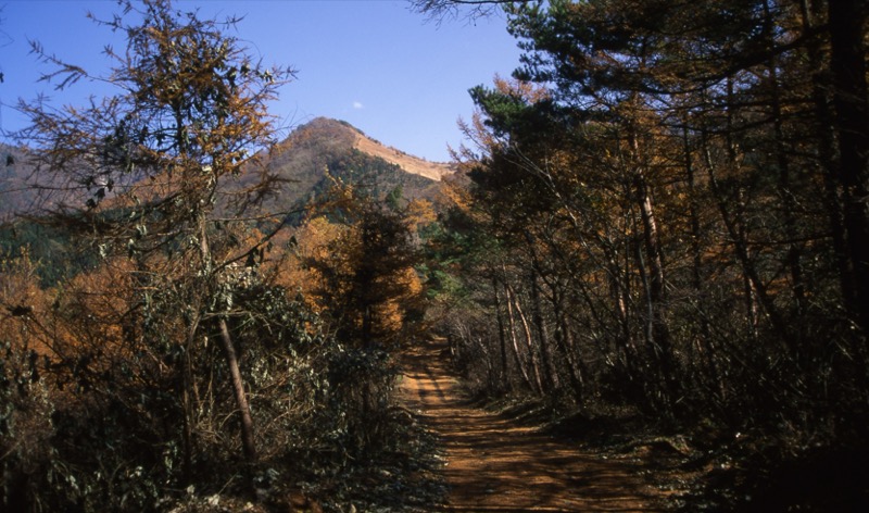 杓子山