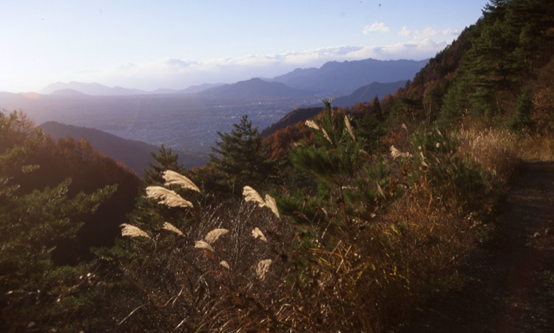 杓子山