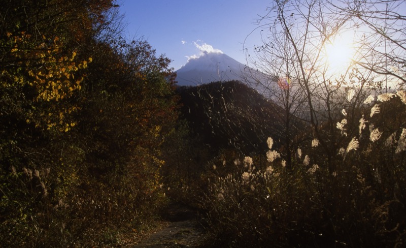 杓子山