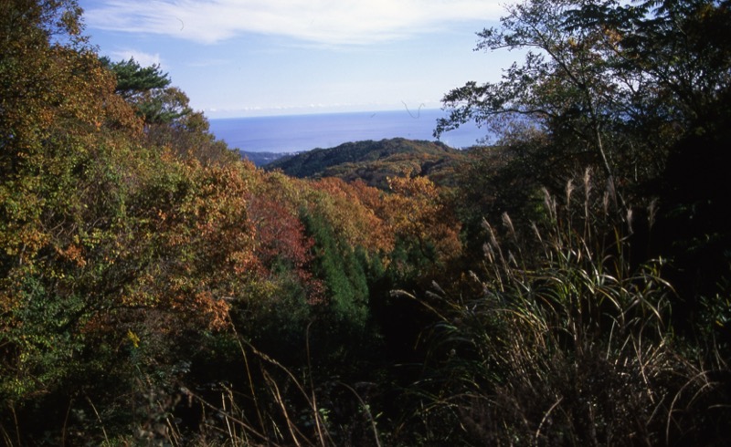 奥久慈・男体山