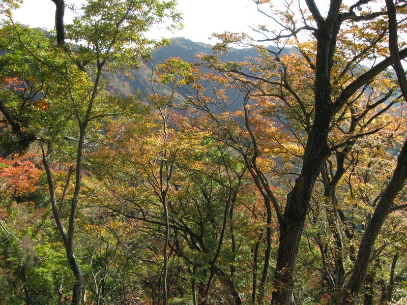 奥久慈・男体山