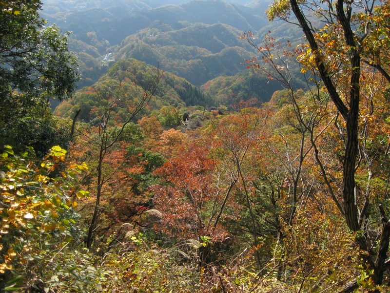 奥久慈・男体山