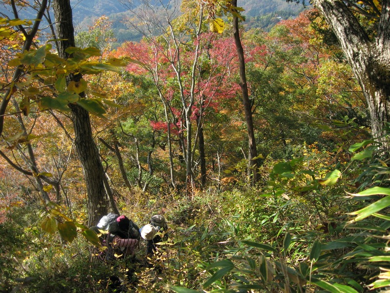 奥久慈・男体山