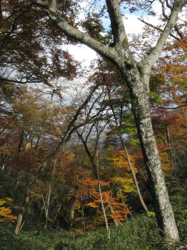 奥久慈・男体山