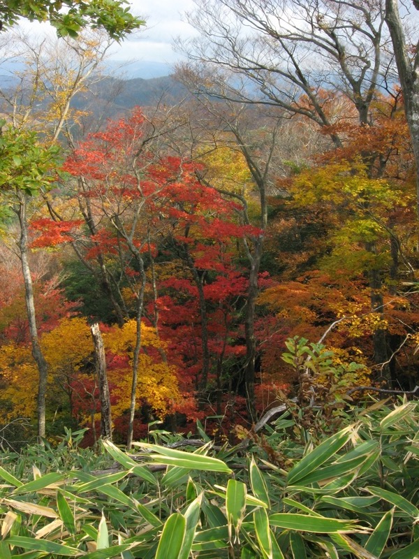 奥久慈・男体山