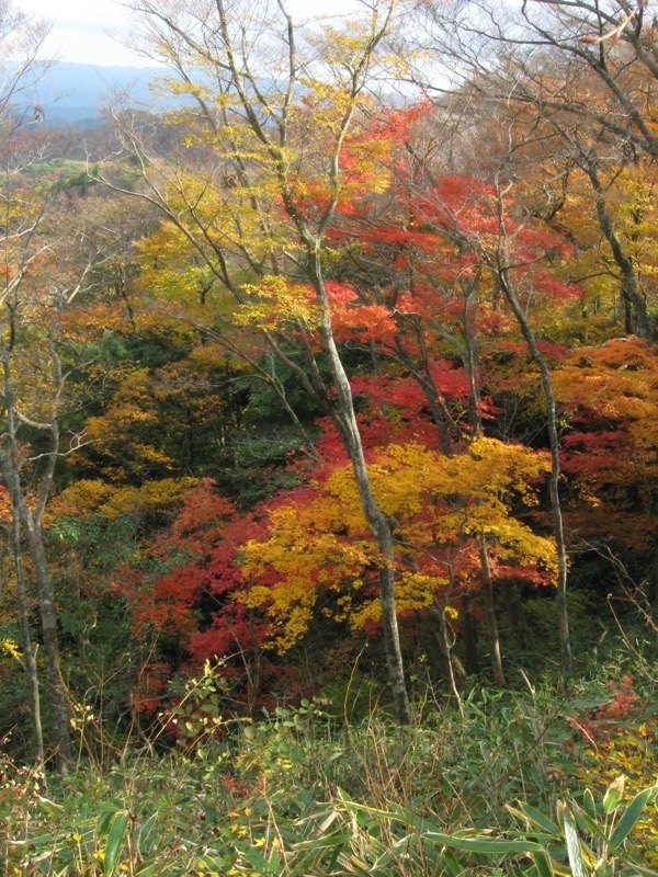 奥久慈・男体山