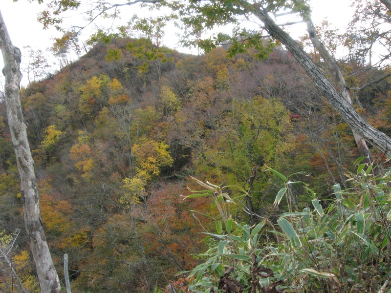 奥久慈・男体山