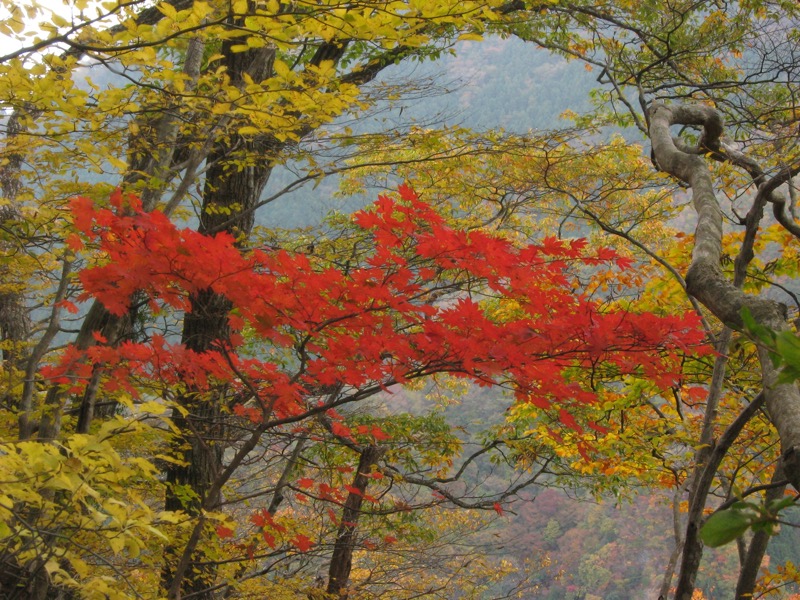 奥久慈・男体山