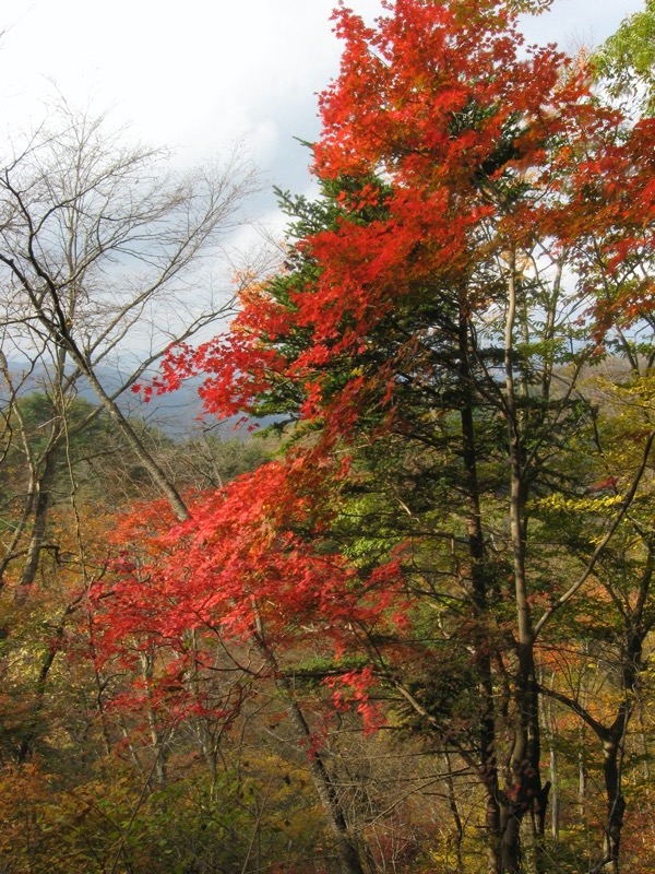 奥久慈・男体山