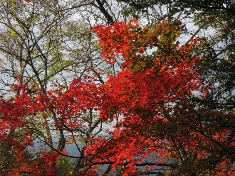 奥久慈・男体山