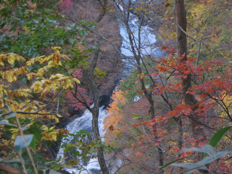 奥久慈・男体山