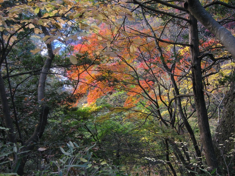 奥久慈・男体山