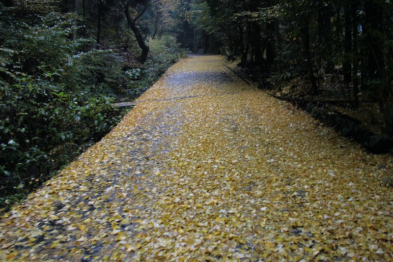 北高尾山稜