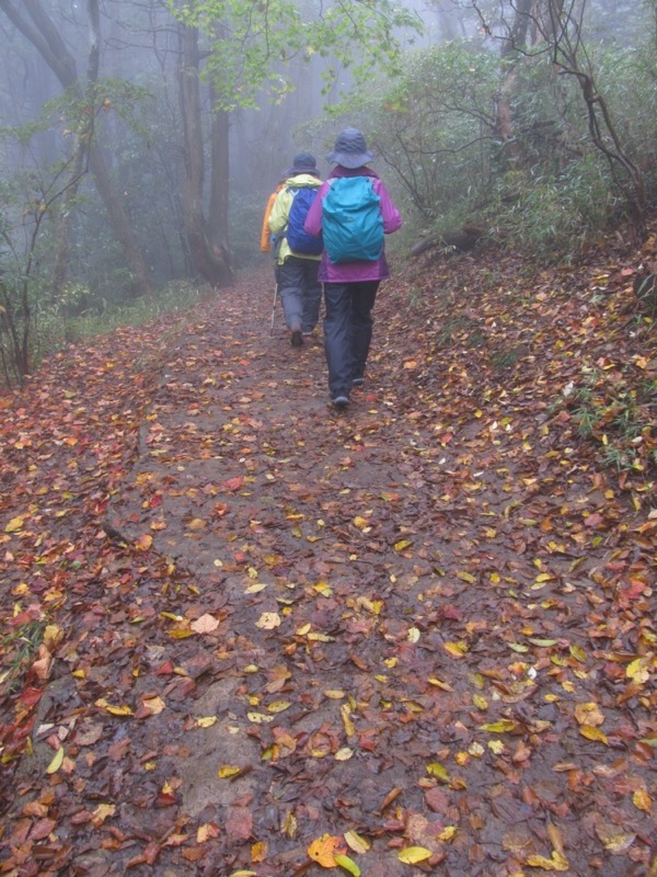 筑波山