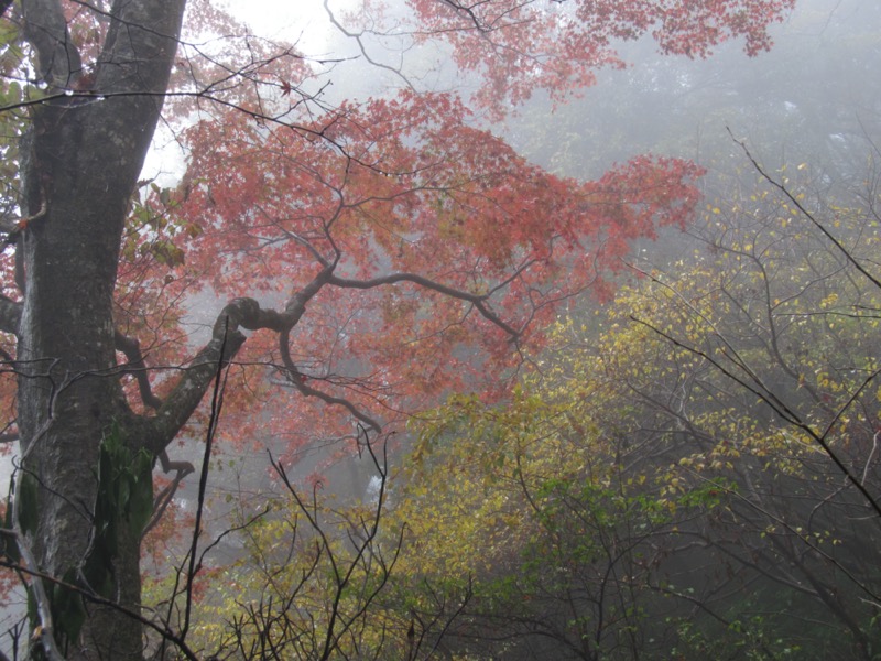 筑波山