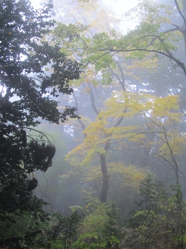 筑波山