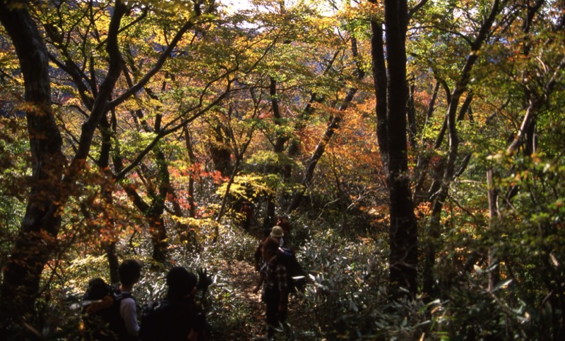 奥久慈・男体山