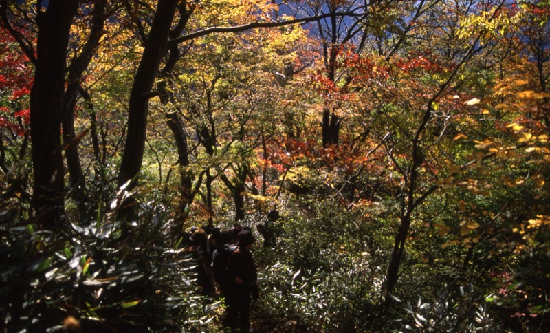 奥久慈・男体山