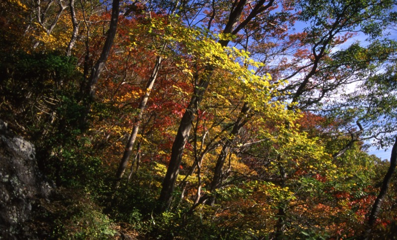 奥久慈・男体山