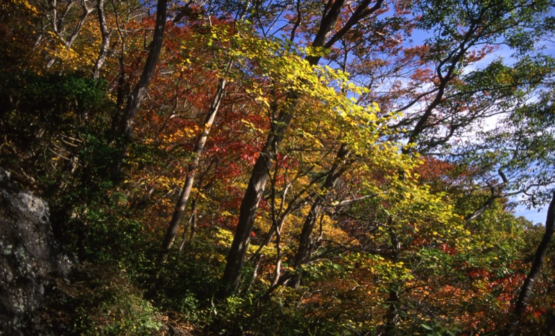 奥久慈・男体山