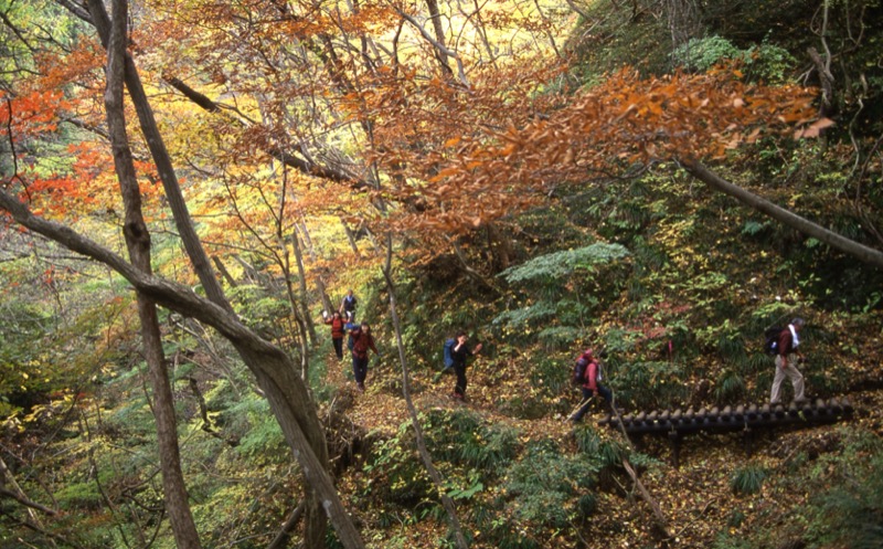 奥久慈・男体山