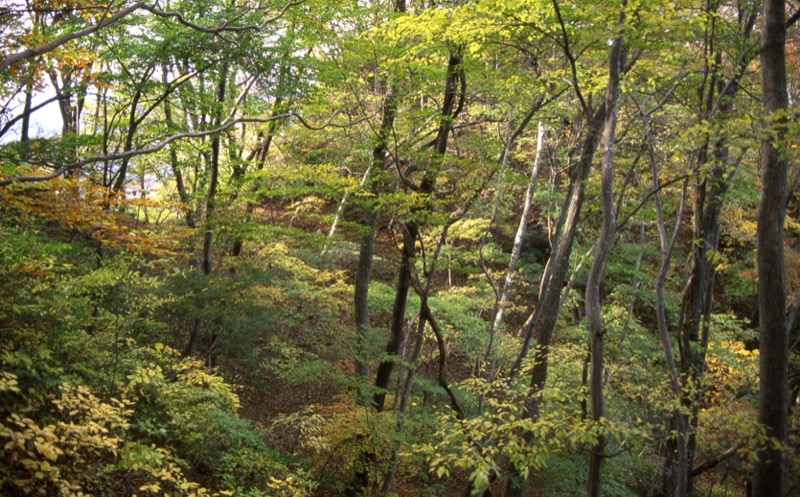 奥久慈・男体山