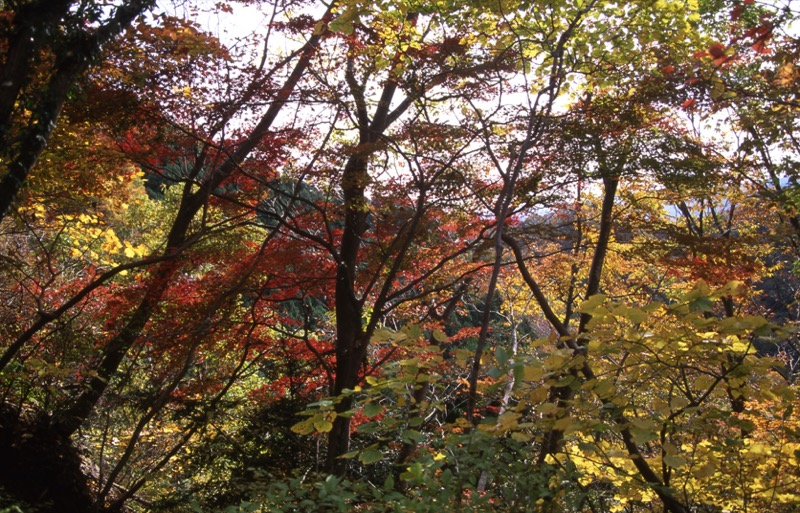 奥久慈・男体山