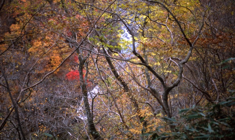 奥久慈・男体山