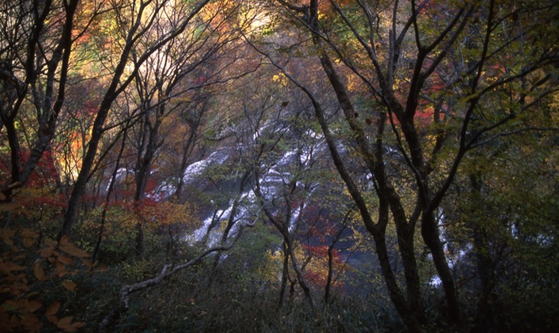 奥久慈・男体山