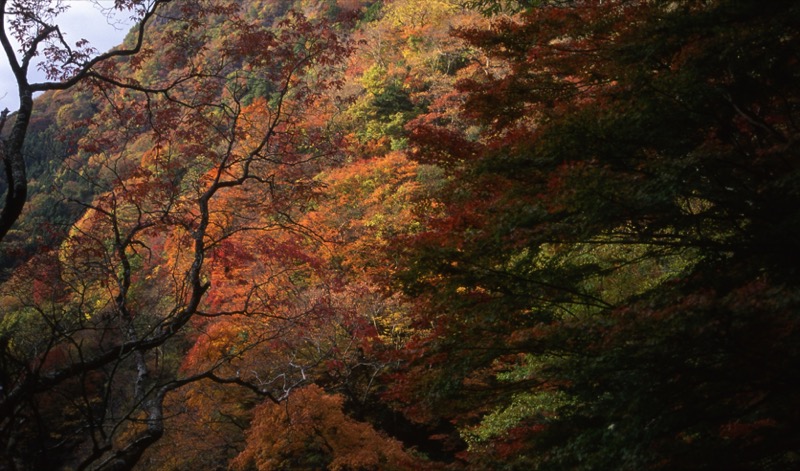 奥久慈・男体山