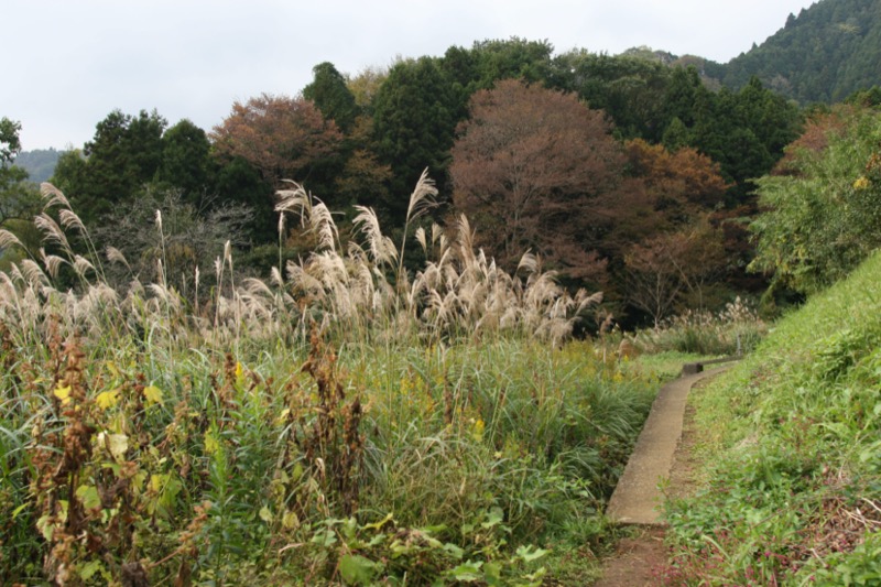 大山・三峰山