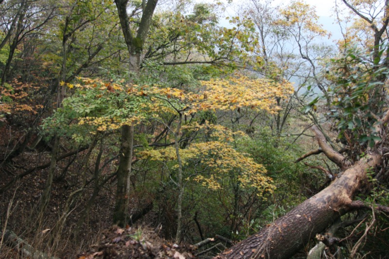 大山・三峰山