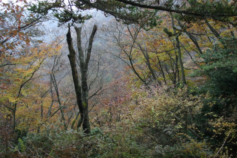 大山・三峰山