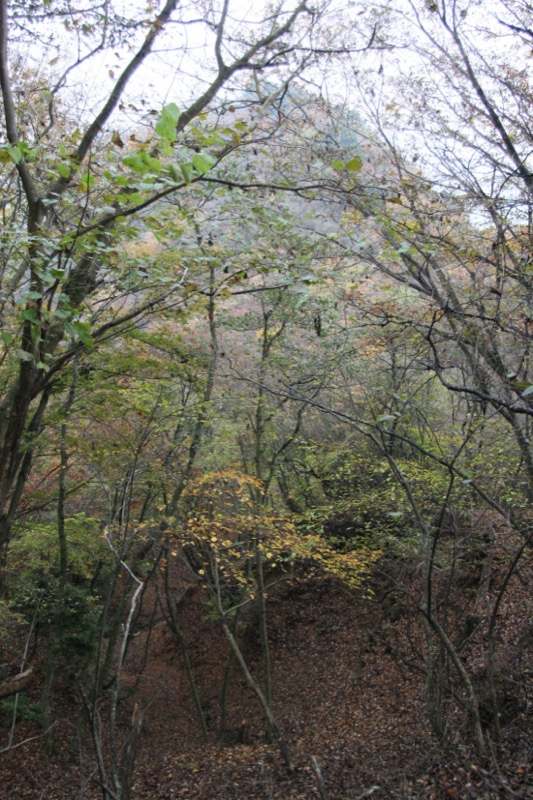 大山・三峰山