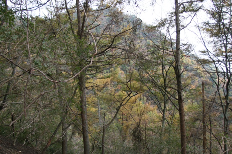 大山・三峰山